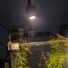 Aluminum Mixture Fish Container Clip Lamp Customizable Brightness Degrees Energy Saving LED Technology
