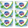 Safeguard Cool Mint Refreshing Soap Bars