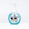 Walch Foaming Antibacterial Hand Soap