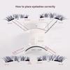 Two Pairs of Magnetic False Eyelashes with Curler - No Glue Needed, European & American Thick Style.
