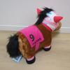 Haru Urara Fluffy BIG Plush Thoroughbred Collection Crane Prize 2026
