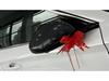 Compatible with 2024 Qin L/Dmi: Door Handles, Door Cups, Mirror Covers, Grille, Spoiler, Fender, Shark Fin.