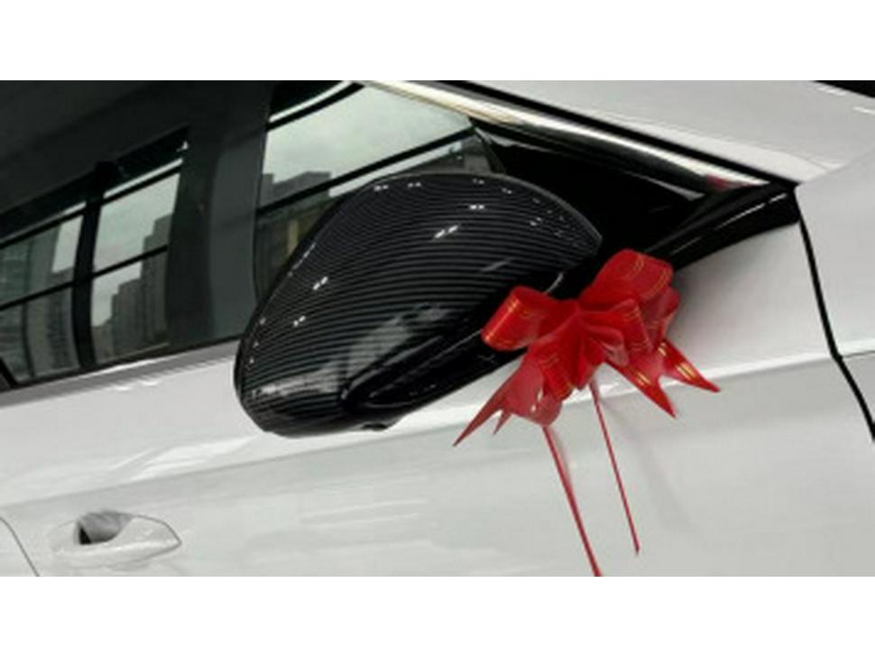 Compatible with 2024 Qin L/Dmi: Door Handles, Door Cups, Mirror Covers, Grille, Spoiler, Fender, Shark Fin.