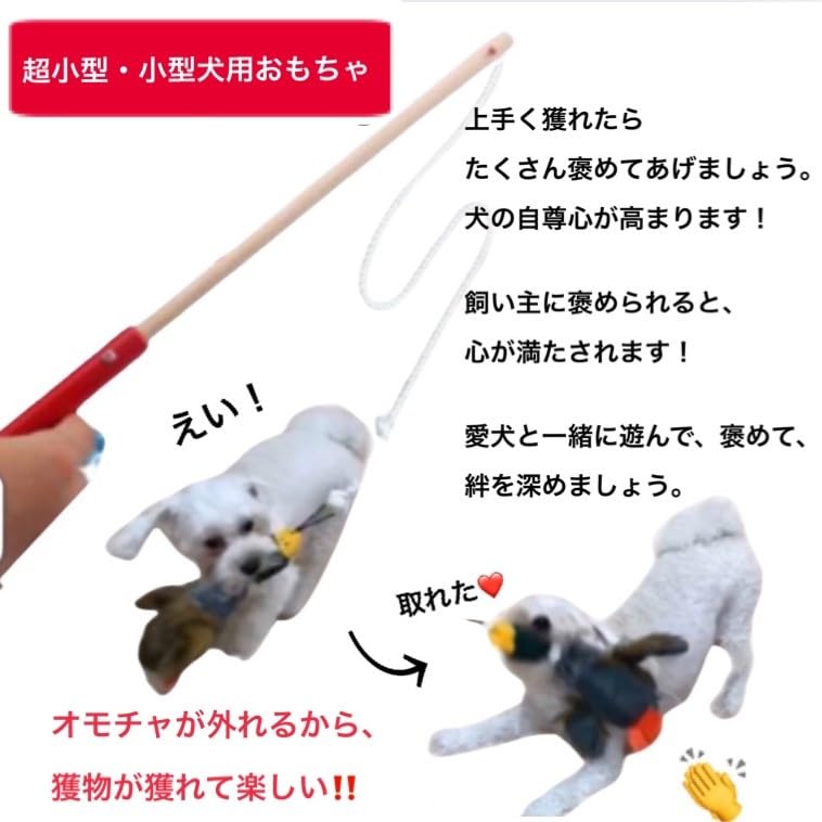 Hunt the Toy Dog Teaser That Lets You Retrieve Toys for Very Small and Small Dogs 2 - (pole + Toys)