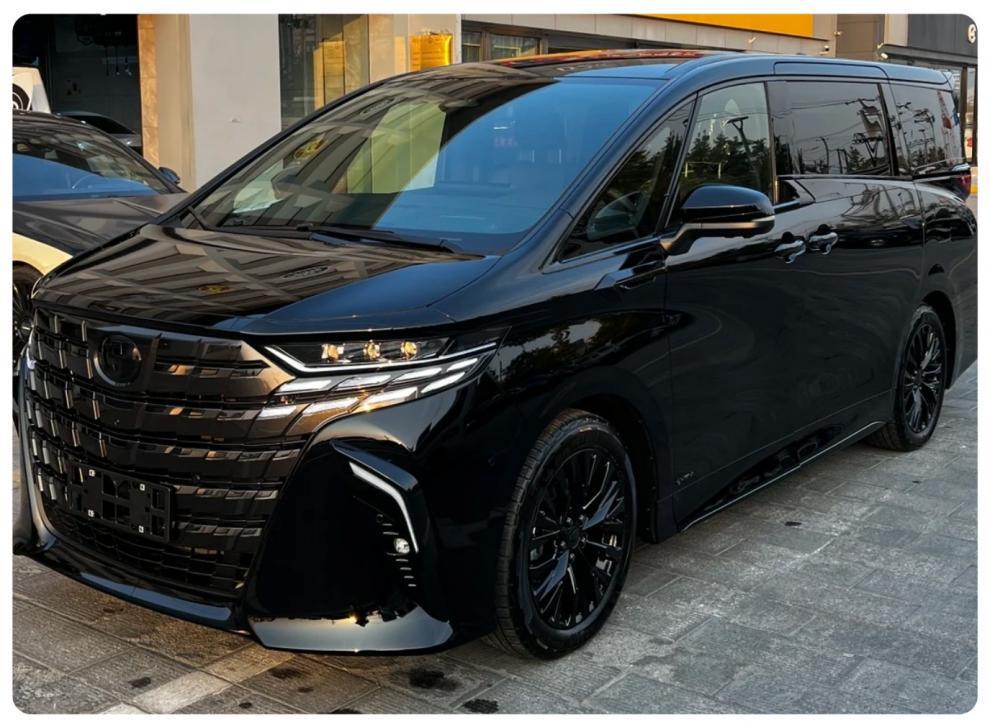 Black Warrior Smoked Headlight & Center Pillar Film for 25 Toyota Alphard Models - TPU Gloss Black