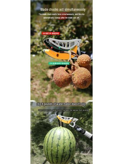 Yüksek Dallar İçin Teleskopik Budama Makası ve Meyve Toplayıcı - Trabzon Hurması, Liçi, Longan ve Malta Eriği İçin İdeal