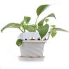 100Pcs Nursery Plant Tag T-type Plastic Plant Label Garden Nursery Pots Planters Flower Thick Plant Tag Label Marker PVC