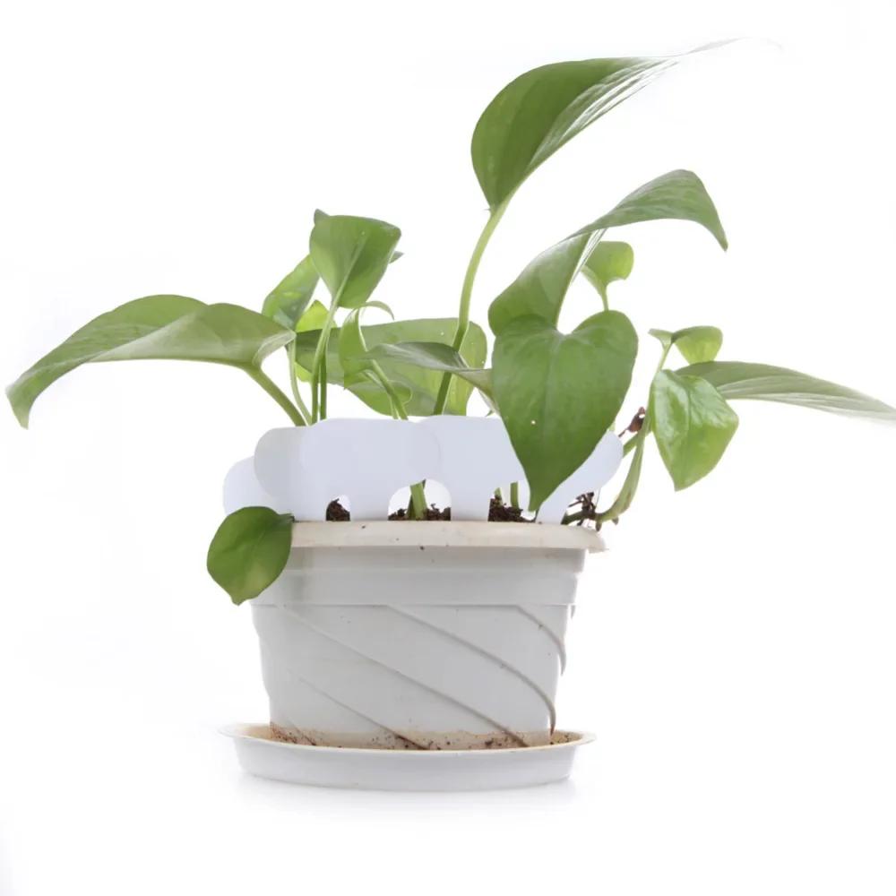 100Pcs Nursery Plant Tag T-type Plastic Plant Label Garden Nursery Pots Planters Flower Thick Plant Tag Label Marker PVC