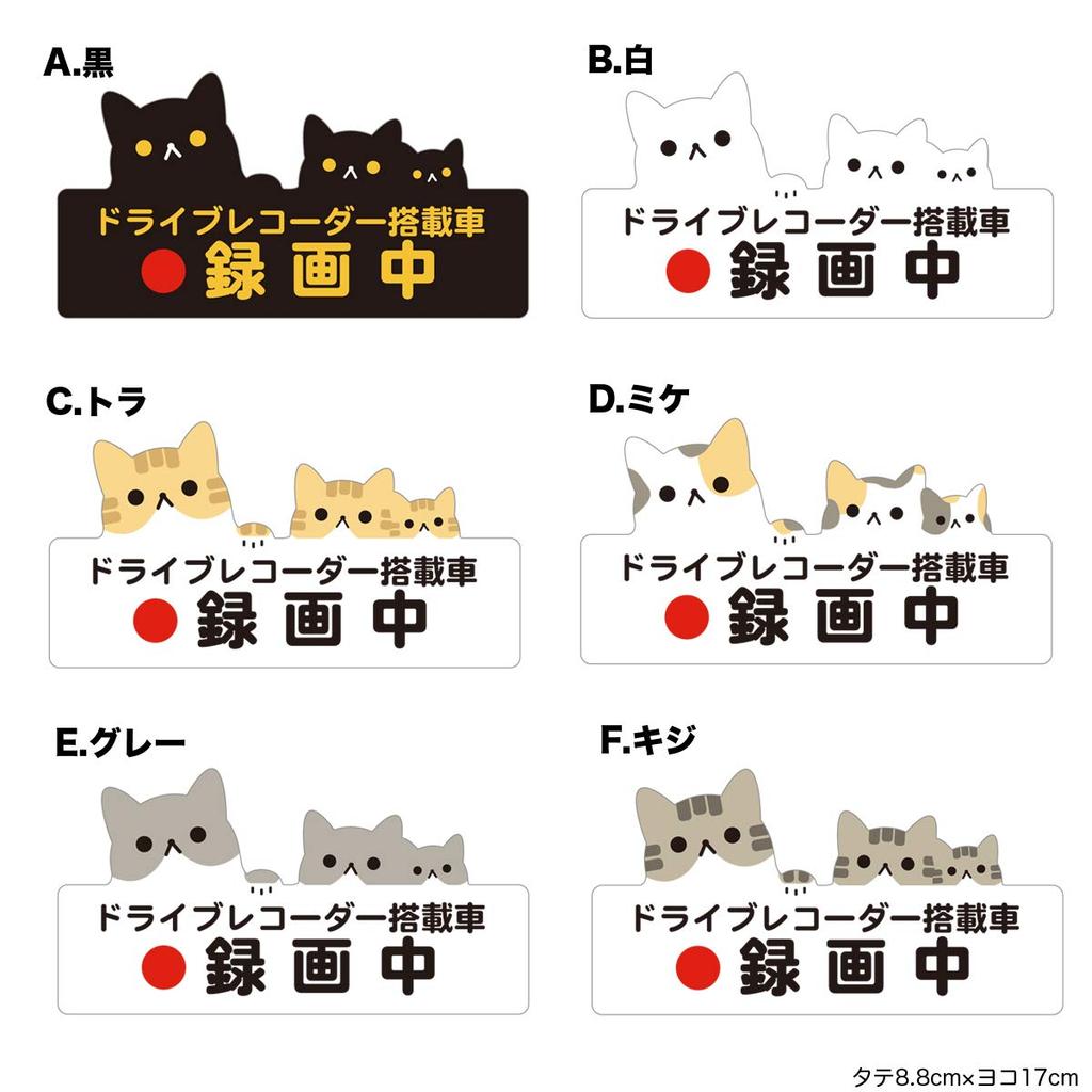 Biijo Drive Recorder Waterproof/Heat Resistant Sticker Seal Cat Cat Size