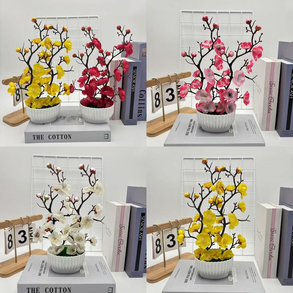 Praecox Flower Chimonanthus Basin Decorative Potted Plant For Home Office Gift