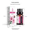 Aromatherapy Essential Oil Indoor Long-Lasting Fragrance Air Freshener