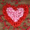2000/100pcs Artificial Rose Petals Flowers Romantic Anniversary Silk Fake Petal for Brithday Wedding Party DIY Decoration Rose