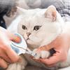 Pet Nail Clipper Sharp Stainless Steel Blades Nail Cutter Safe Cat Nail Trimmer with Anti-Slip Handle for Dogs Cats Small Animals