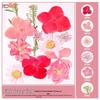 Handmade Pressed Flower Bookmark and Epoxy Sticker Pack with Real Leaf and Plant Specimens for DIY Face Makeup.
