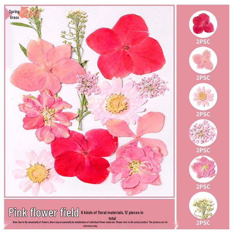 Handmade Pressed Flower Bookmark and Epoxy Sticker Pack with Real Leaf and Plant Specimens for DIY Face Makeup.