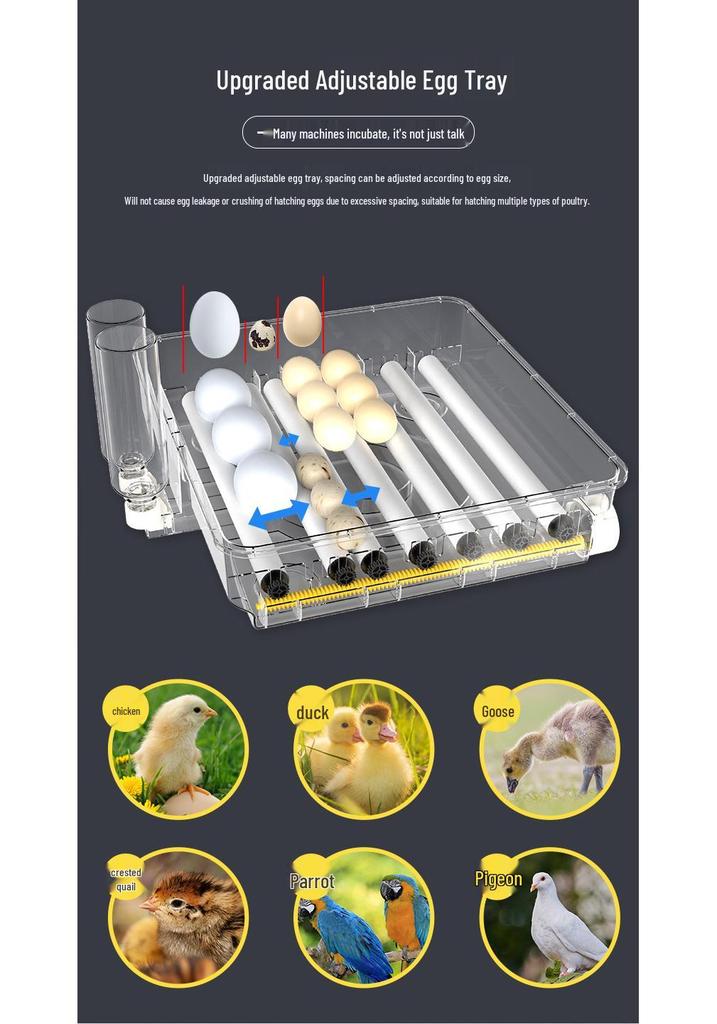 Automatic Egg Incubator: 24-288 Eggs Capacity, Auto Water Refill & One-Button Candling