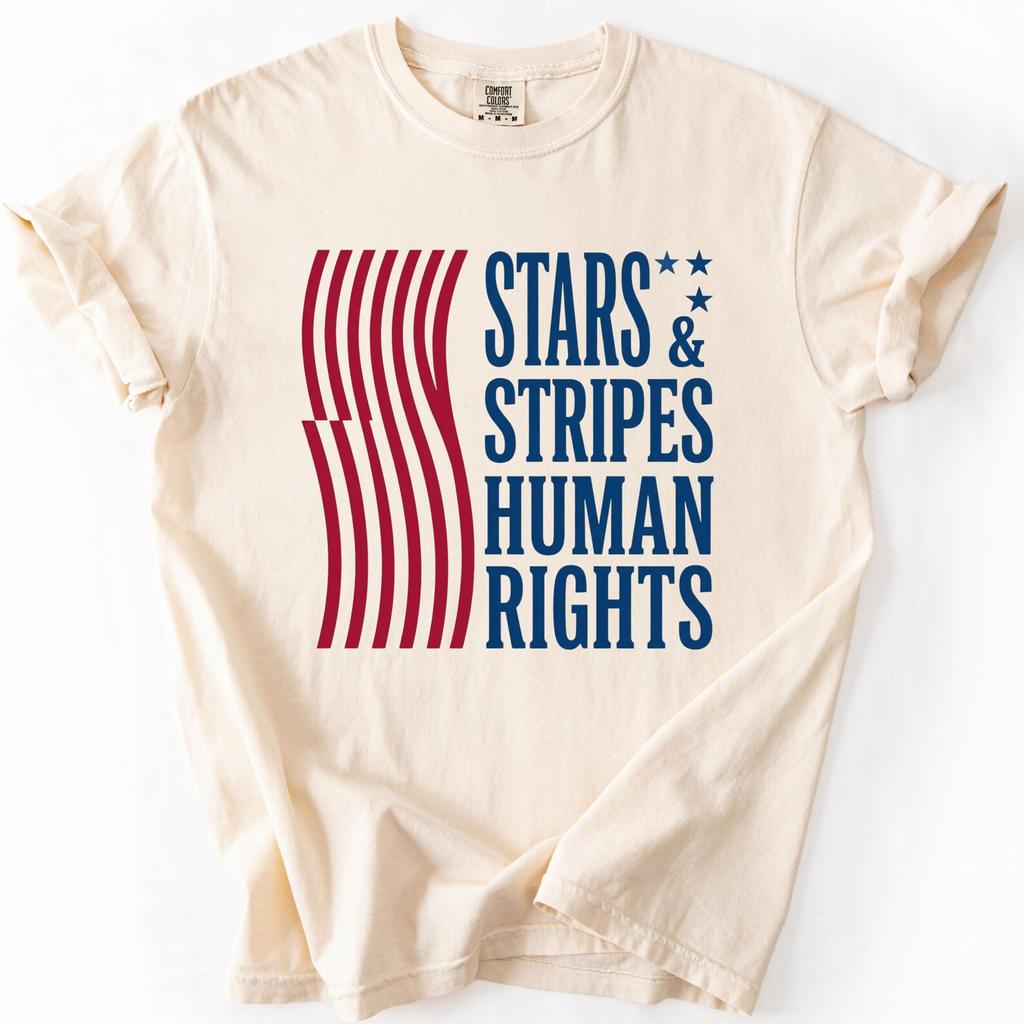 Stars and Stripes and Human Rights shirt, Anti ICE shirt, social Justice, Subtle Anti Trump shirt, Political Merch, Pro immigration shirt