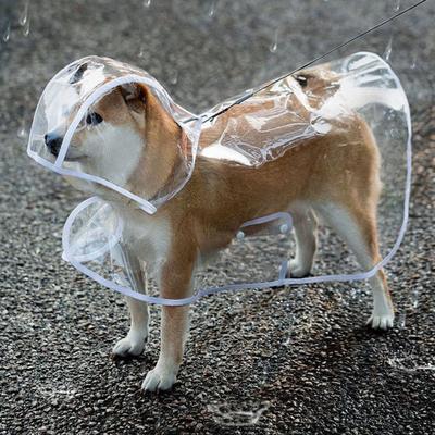 Haustier Hund Transparenter Regenmantel Kapuzenjacke Wasserdicht Modisch Leicht Haustiermantel Klein Mittel