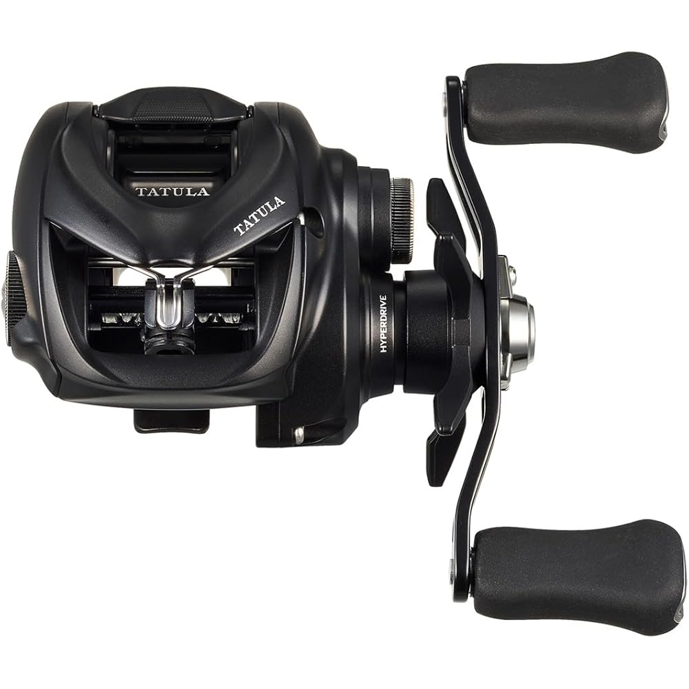 Daiwa (DAIWA) Bait Reel 24TW 100HL