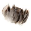 Pack of 50 Mallard Duck Wing 1.6-4.7Inch for Art Craft Wedding Halloween Decoration Cosplay Costume Accessories
