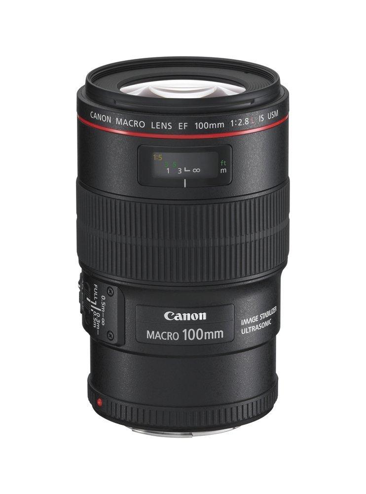 Canon EF Objektiv EF100mm Makro IS USM Makroobjektiv F2.8L