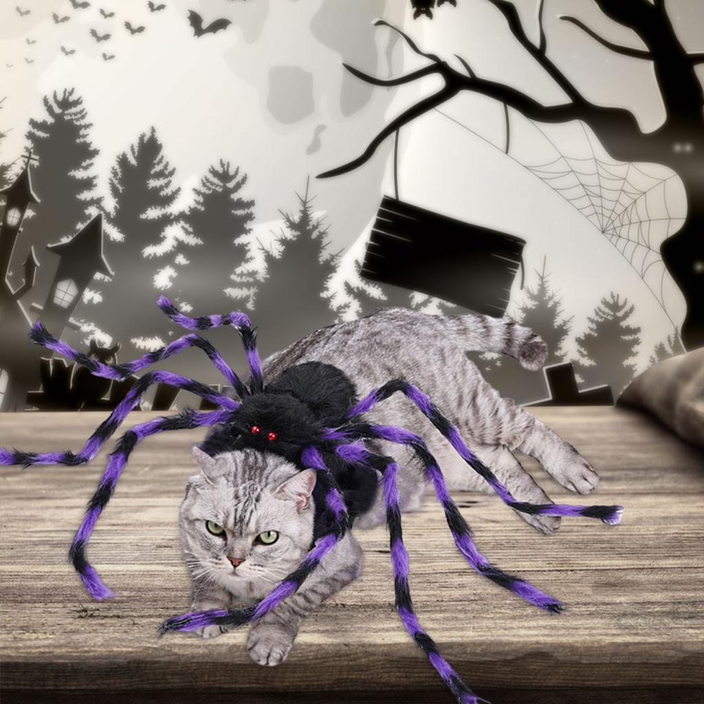 Haustier Kostüm Hut Lustige Spinnen Tier Cosplay Kleid Cosplay Zubehör Haustier Cosplay Zubehör Spinnen
