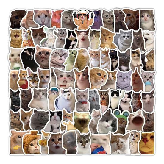 100 Pcs Cute Cat Stickers for Kids Boys Girls Waterproof Cat Meme Decals for Laptop Skateboard Luggage Car Bumper Water Bottle Decor