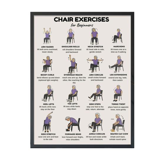 Chair Exercise Poster Seated Workout Chart Gentle Chair Yoga Movements Low Impact Exercise Guide for Seniors Beginners