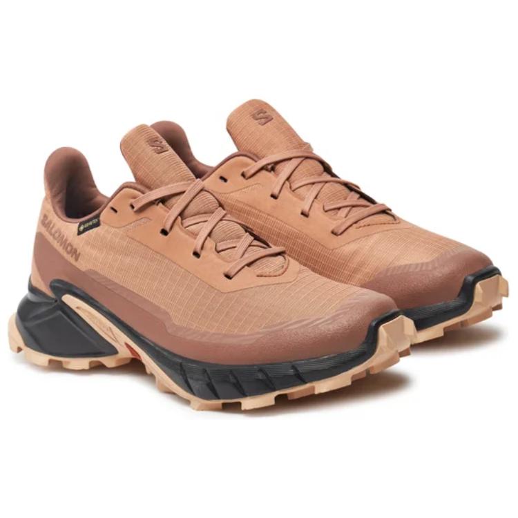 SALOMON Alphacross 5 Trendy Sportovní Protiskluzové Odolné Nízké Trailové Běžecké Boty Dámské tenisky Hnědé L47595100