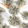 5/10Pcs Fake Plants Artificial Flowers Heads Silk Blooming Roses Wedding Home Room Decor DIY Garland Material Simulation Cheap