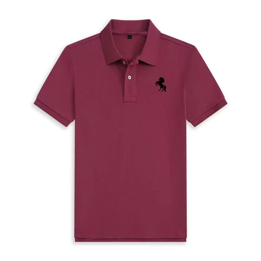 Schönes Herren-Poloshirt