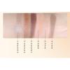 Sofea - Six-Color Exquisite Eyeshadow Palette - 2 Types