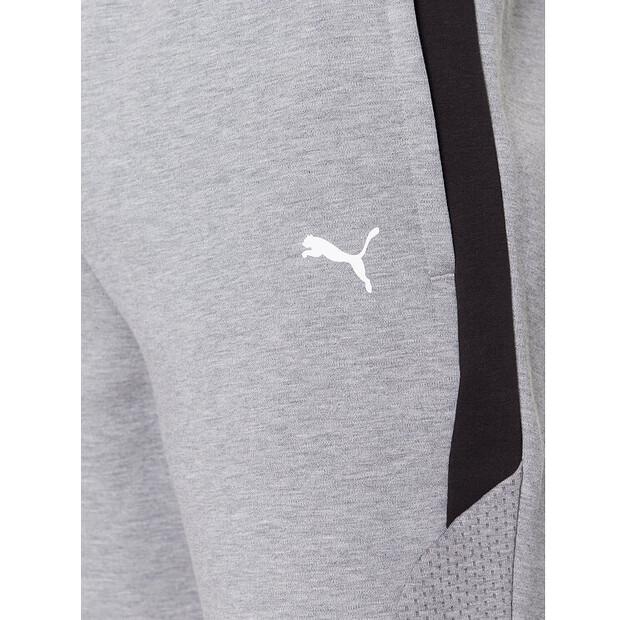 Puma Bmw M Motorsport Shorts