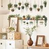 Interior Design Green Plants Wall Decal Easy Application Wall Stickers Artificial Creative Customization Stickers