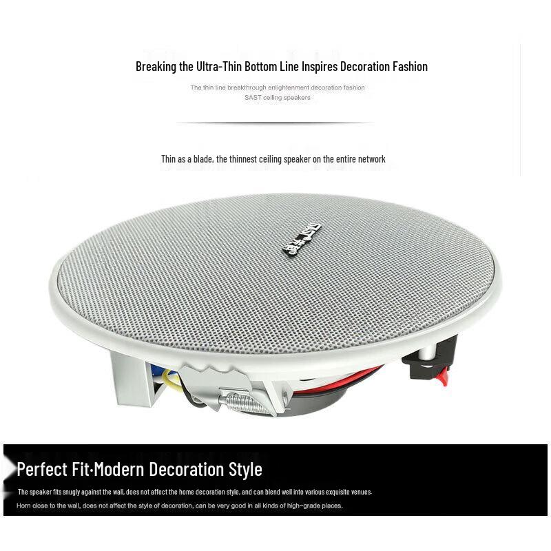 SAST YS4-8 8-Inch Coaxial Ceiling Speaker CN Plug (adapter Included)