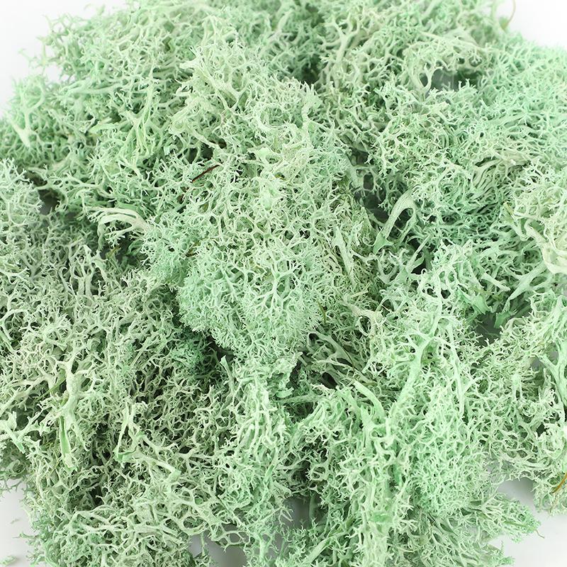 20/40/100g Artificial Green Plants Eternal Life Moss Grass DIY Crafts for Home Garden Room Decoration Mini Landscape Fake Flower