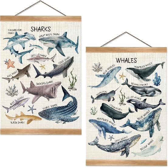 ZTGDA Sharks and Whales Posters, Sea Animals Shark Posters Wall Art,Marine Sharks Decor,Ocean Educational Poster for Kid Classroom Decorations Kids