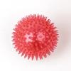 High Quality Tpr Bite Resistant High Elastic Ball Teeth Cleaning Training Interactive Thorn Ball Dog Toy Ball