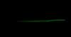 Maria Duplex 80mm 31 Grams Sinking Lure 015 (4449)