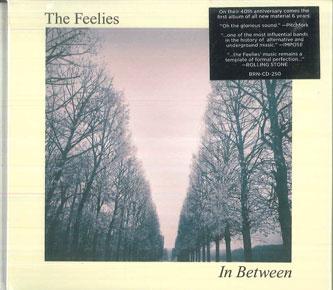 

CD FEELIES - In Between BRNCD250 Bar/None Record 2017 США Рок