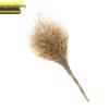 Jingzhou Shibang Bamboo Broom