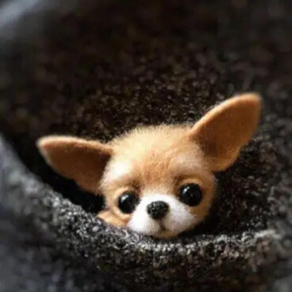 

Шерстяной фетр Поке Ручная работа DIY Материал Кит Шерстяная игла Не готовый Кот Лиса Енот Животное Брошь Плюшевая кукла Женская сумка Подвеска