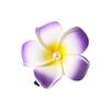 Handcrafted Floral Hair Clip for Beach Vacations - Updo Side Clip with Duckbill Design