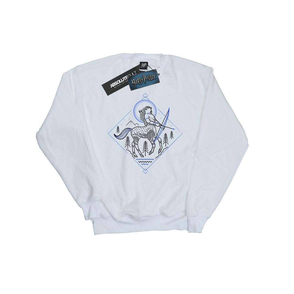HARRY POTTER Boys Centaur Line Art Sweatshirt