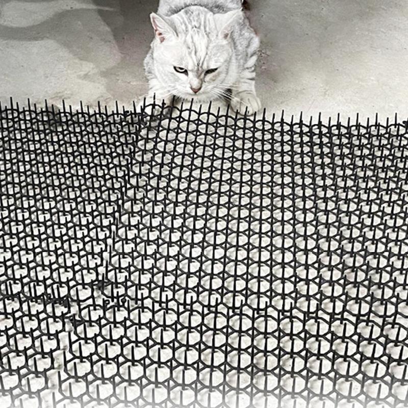 cat spike mat