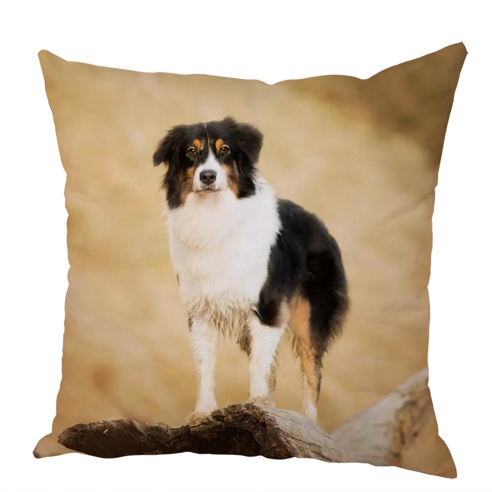 Cute Australian Shepherd Dog Pillow Case Peach Skin Decor Pet Animal Cushion Cover Thorw Pillowcase for Sofa Home Car 45x45cm