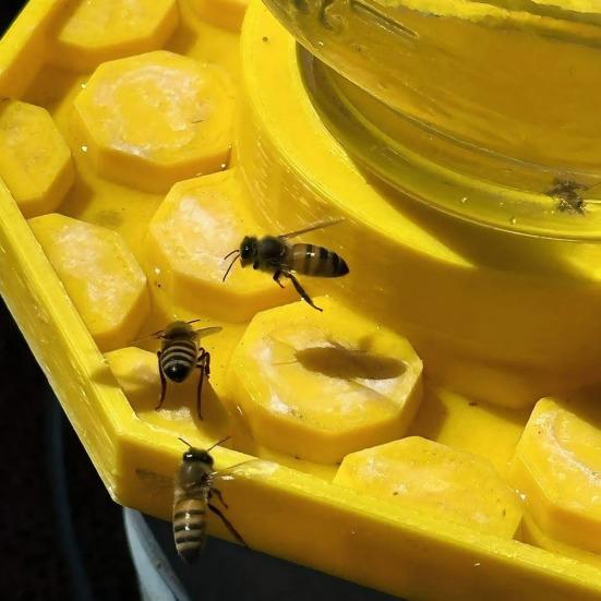 Vattenfat för bin 3D-printat Trädgårdsbestämmare Vattenmatare Säker Drickstation Förhindrar drunknande för bin Fjärilar