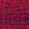 Rose Petal Decor for Weddings: Ceremony, Room, Proposal & More