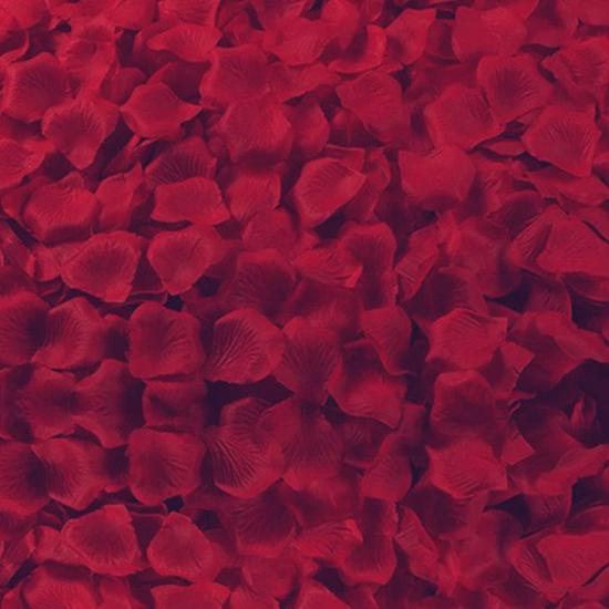 Rose Petal Decor for Weddings: Ceremony, Room, Proposal & More