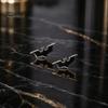 Black Metal Collar Pin 1 Pair Bat Shape Lapel Pins, Men Suit Shirt Versatile Cool Gothic Brooch, Matte Edging Business Pins for Tie Decoration